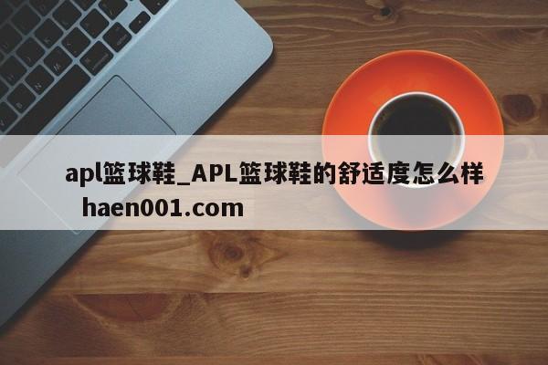 apl篮球鞋_APL篮球鞋的舒适度怎么样  haen001.com