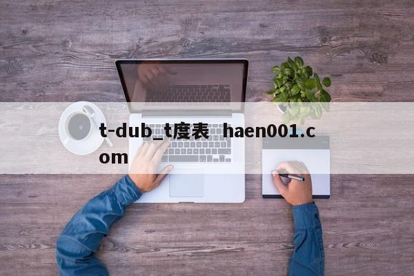 t-dub_t度表  haen001.com