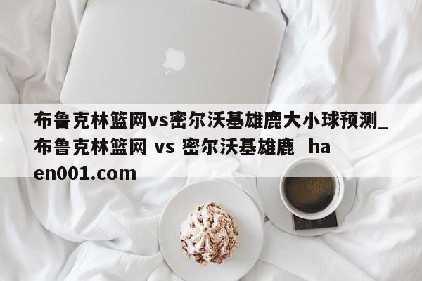 布鲁克林篮网vs密尔沃基雄鹿大小球预测_布鲁克林篮网 vs 密尔沃基雄鹿  haen001.com